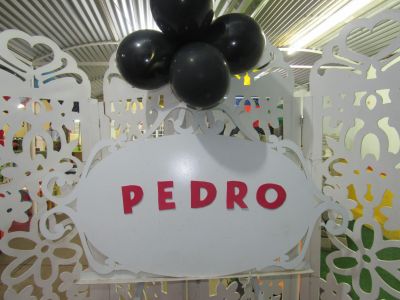 05.05.16 - Pedro Henrique - Decoracao Buffet O magico de OZ 