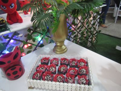 Lady Bug - Corujinhas Festas 