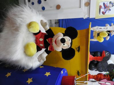 Circo do Mickey 